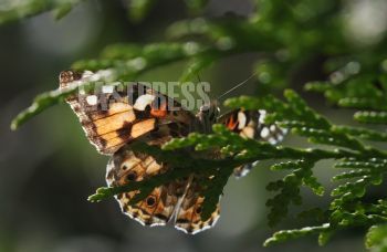 EA269039, Eastpress , Porvoo, Finland